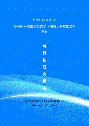 染料废水混凝脱硫污泥（石膏）资源化示范可行性研究报告建议书申请备案.doc