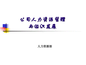 （经典课件）-某某公司人力资源管理与组织发展课件.pptx