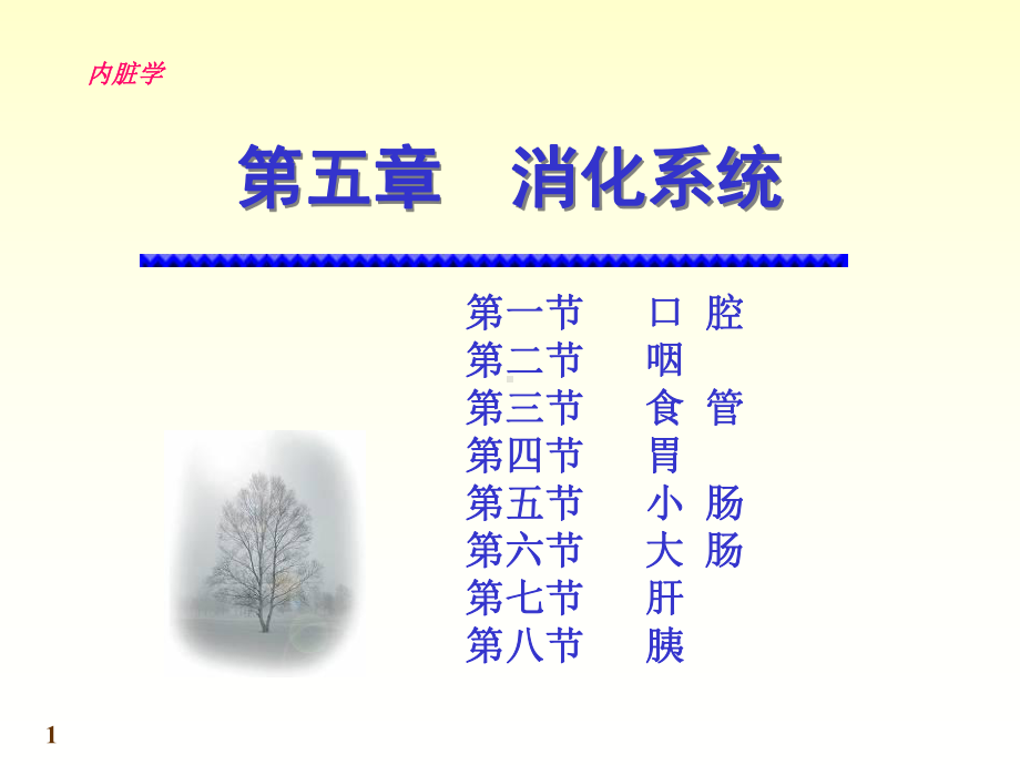 内脏学-消化系统.ppt_第1页