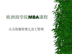 （经典课件）-MBA课程-员工管理.pptx