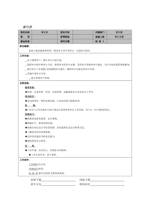 MM公司审计员岗位说明书.docx