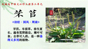 6《芣苢》《插秧歌》ppt课件31张- 高中语文统编版必修上册.pptx