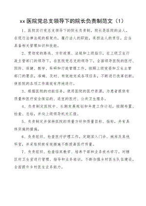 医院院长负责制工作制度范文2篇.docx