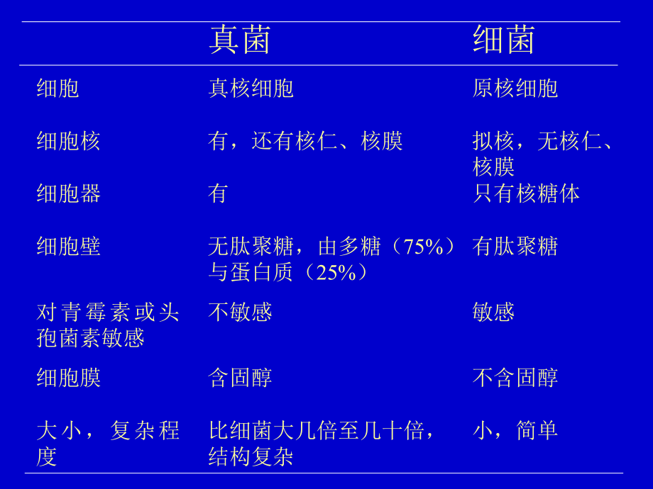 经典课件-某某公司真菌概述.pptx_第2页