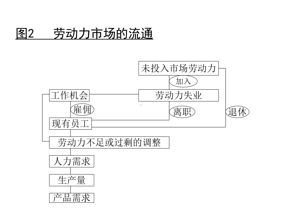 MBA讲义-人力资源管理的功能.pptx_第3页