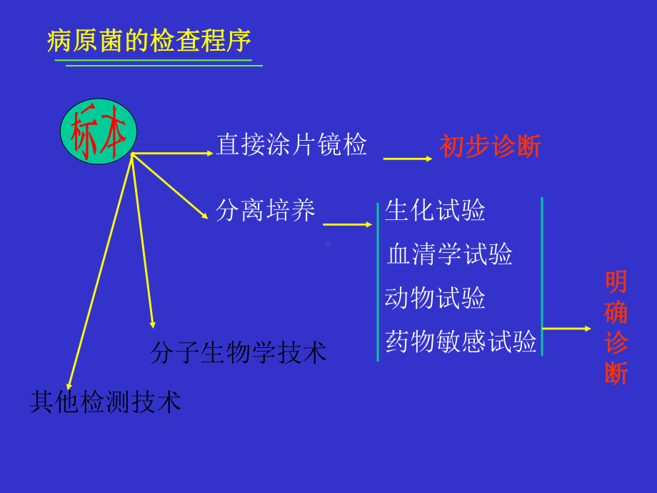 经典课件-细菌感染的检查方法与防治原则.pptx_第2页