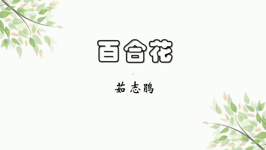 3.1《百合花》ppt课件31张 2022-2023学年统编版高中语文必修上册.pptx_第1页