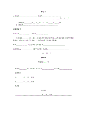 试用与聘用-聘任书01.docx