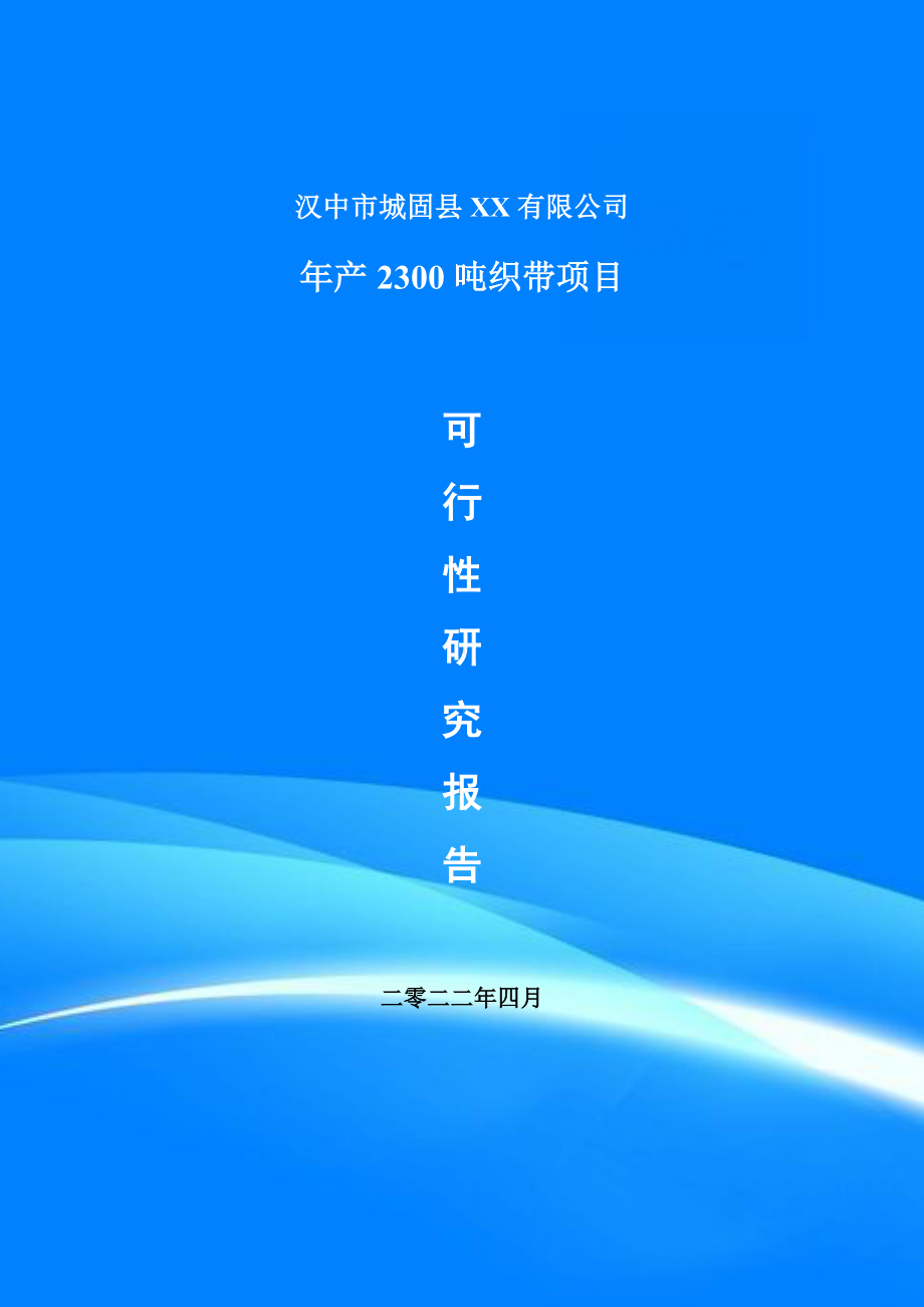 年产2300吨织带项目可行性研究报告建议书.doc_第1页