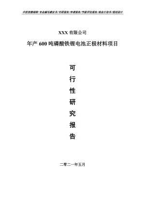 年产600吨磷酸铁锂电池正极材料可行性研究报告建议书申请立项.doc