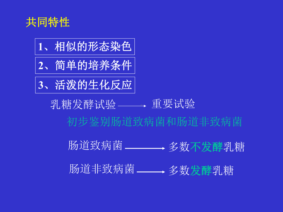 经典课件-肠道杆菌(enteric bacilli).pptx_第3页