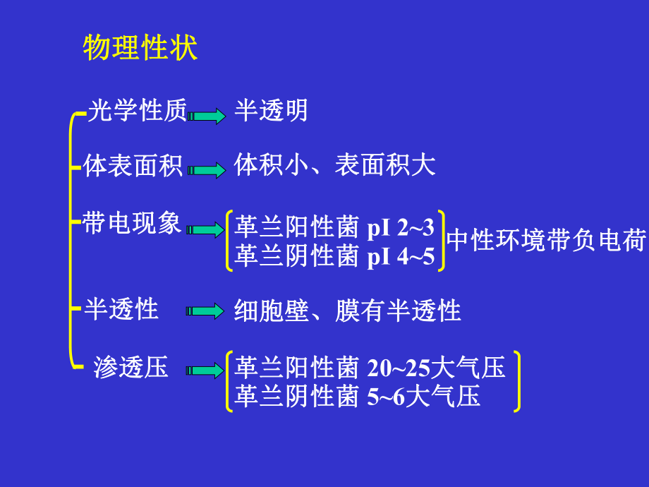 经典课件-细菌生理课件.pptx_第3页