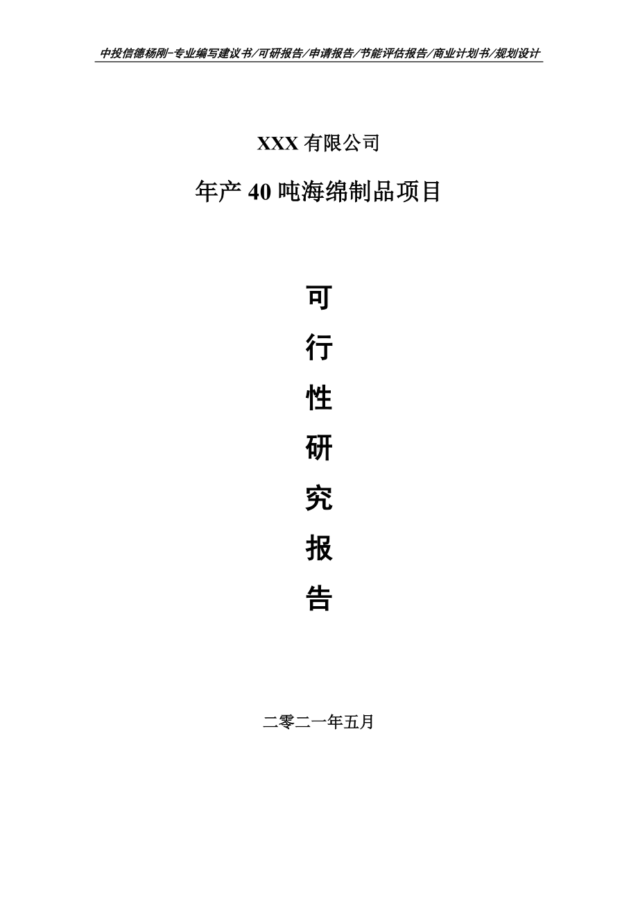 年产40吨海绵制品项目可行性研究报告申请建议书.doc_第1页