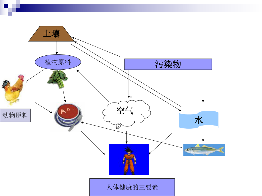 经典课件-某某公司农业投入品对食品的污染.pptx_第3页