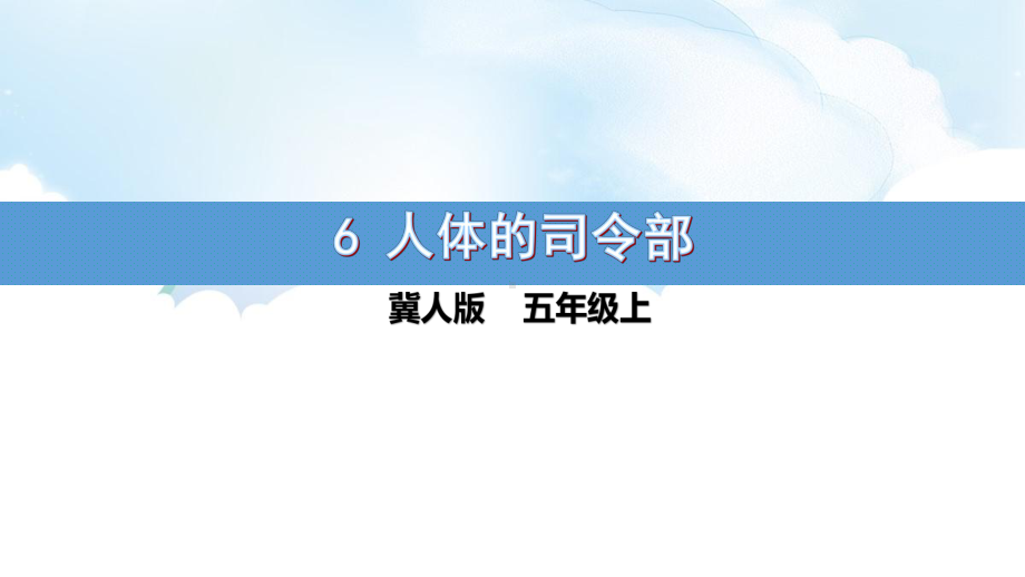 2.6 人体的司令部 ppt课件（22张PT）-2022新冀人版五年级上册《科学》.pptx_第1页