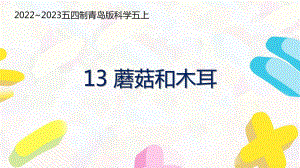 五四制青岛版2022-2023五年级科学上册第四单元第13课《蘑菇和木耳》课件（定稿）.pptx