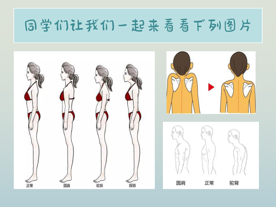 肩胛塑性ppt课件（共26张ppt） 2022学年上学期舞蹈美育课程.pptx_第3页