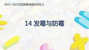 五四制青岛版2022-2023五年级科学上册第四单元第14课《发霉与防霉》课件（定稿）.pptx