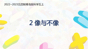 五四制青岛版2022-2023五年级科学上册第一单元第2课《像与不像》课件（定稿）.pptx