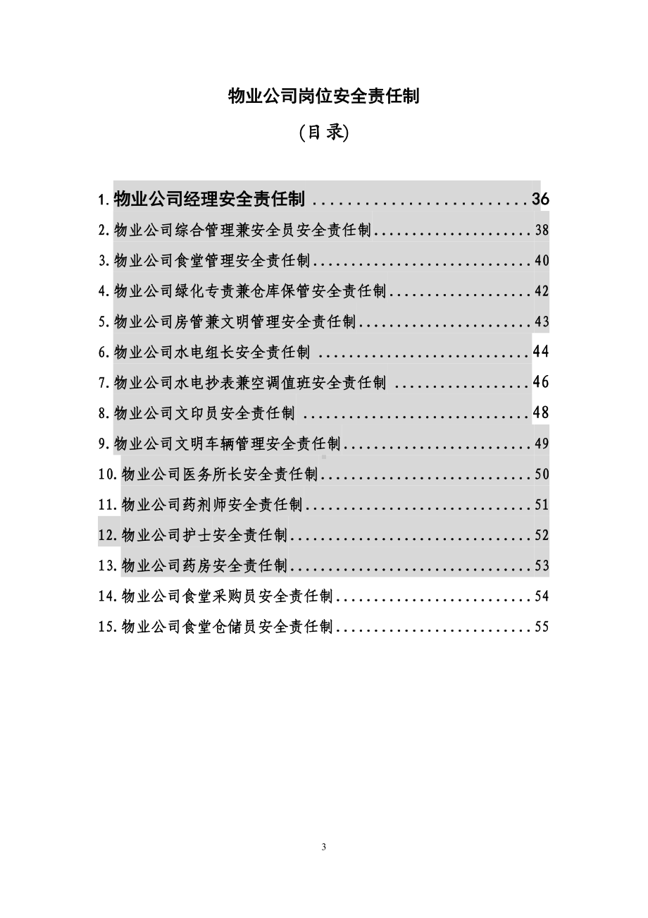 电力部门岗位安全责任制参考模板范本.doc_第3页