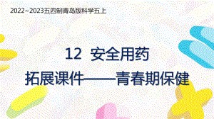 五四制青岛版2022-2023五年级科学上册第四单元第12课《安全用药拓展课件—青春期保健》课件（定稿）.pptx