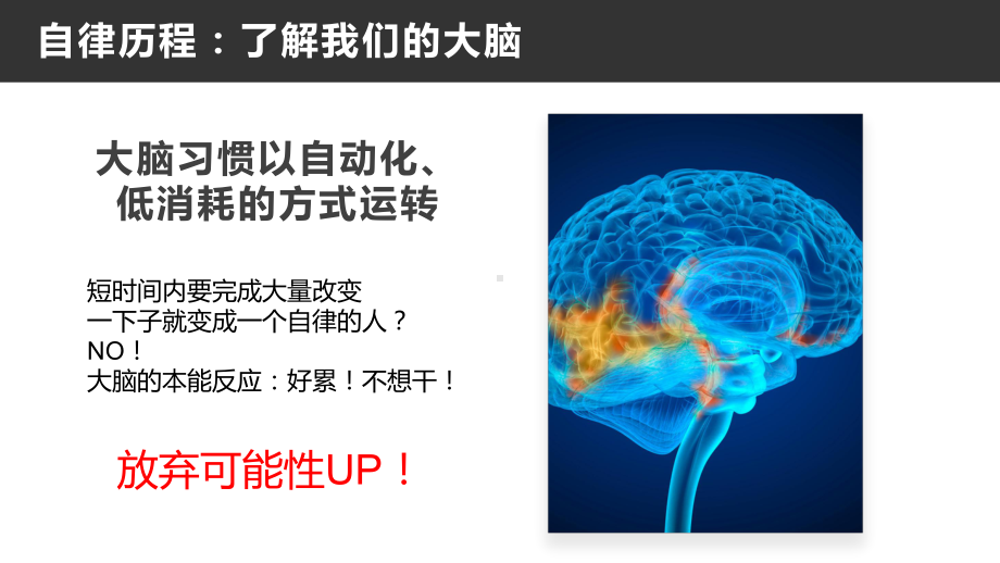 学会学习-如何利用脑科学培养自律ppt课件 心理健康ppt课件（共25张ppt）2022学年上学期.pptx_第2页