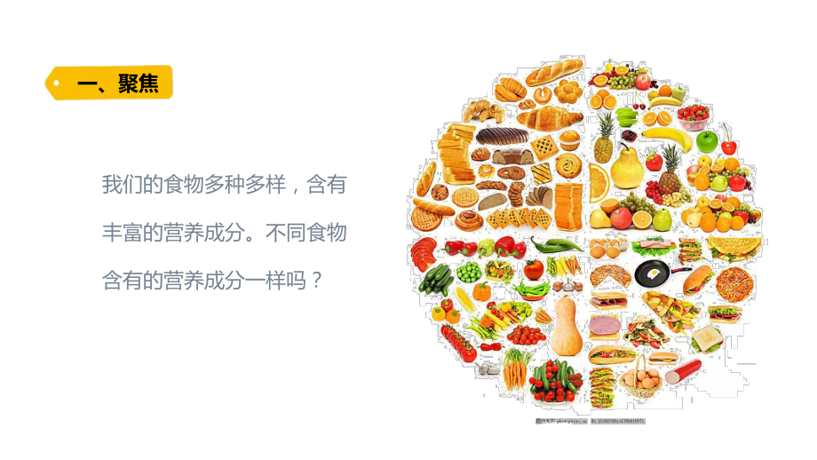 五四制青岛版2022-2023四年级科学上册第四单元第15课《食物的营养》课件（定稿）.pptx_第2页