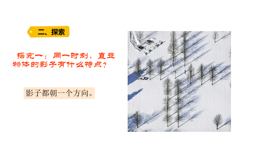 五四制青岛版2022-2023三年级科学上册第三单元第11课《太阳和影子》课件（定稿）.pptx_第3页