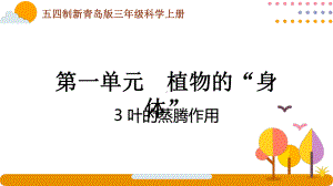 五四制青岛版2022-2023三年级科学上册第一单元第3课时《叶的蒸腾作用》课件（定稿）.pptx