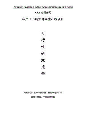 年产1万吨加弹丝生产线项目可行性研究报告申请建议书案例.doc