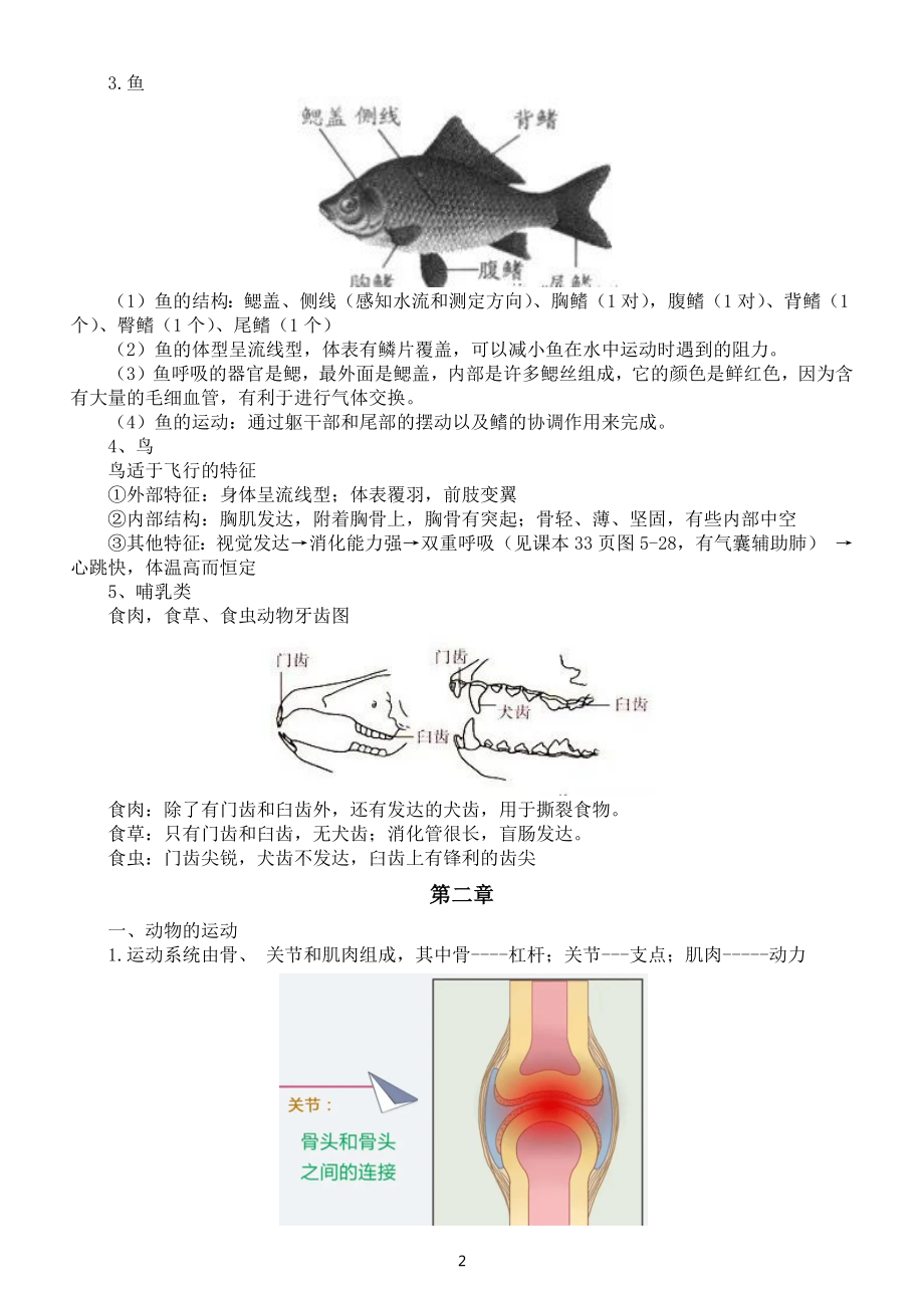 初中生物人教版八年级上册知识点整理汇总.docx_第2页