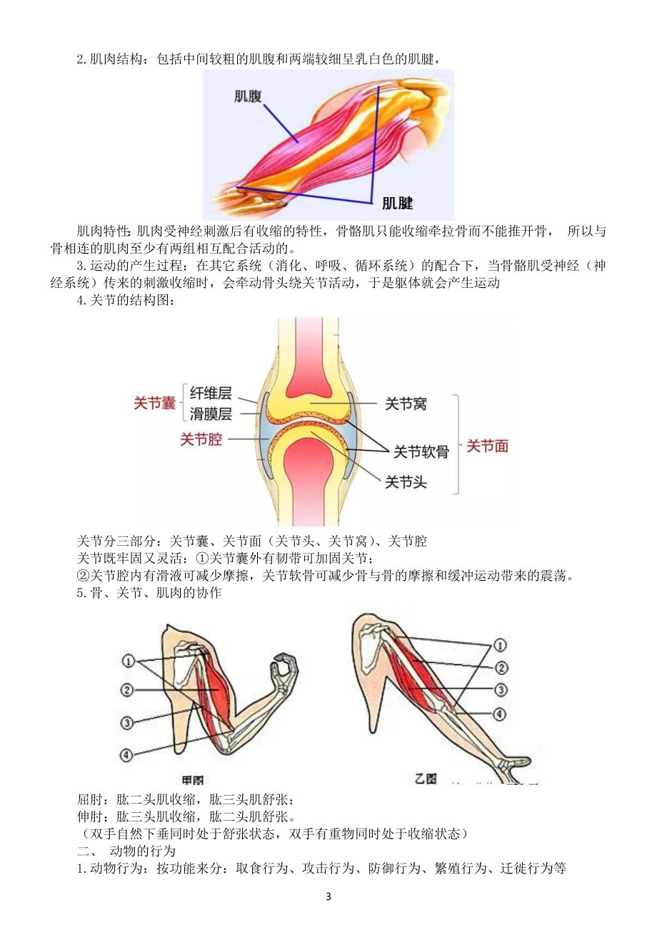 初中生物人教版八年级上册知识点整理汇总.docx_第3页