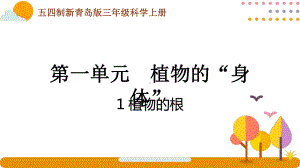 五四制青岛版2022-2023三年级科学上册第一单元《植物的“身体”》全部课件（共含5课时）.pptx