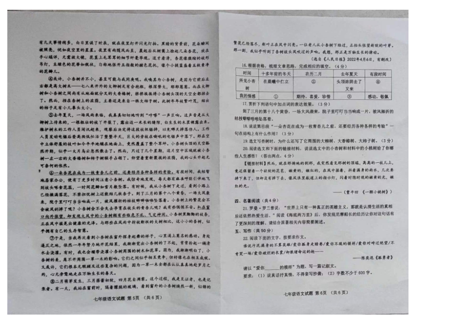 山东省临清市京华 2021-2022学年七年级下学期期末水平测试语文试题.pdf_第3页