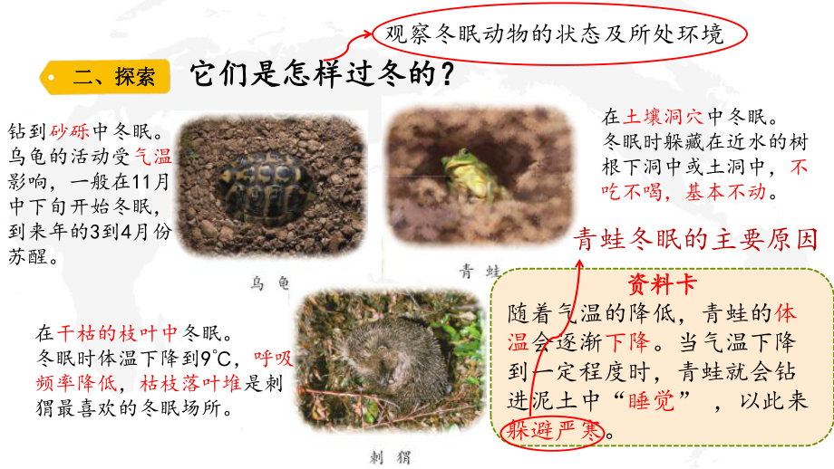 六三制青岛版三年级科学上册第一单元第4课《冬眠与迁徙》课件.pptx_第3页