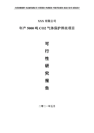 年产5000吨CO2气体保护焊丝项目可行性研究报告建议书.doc