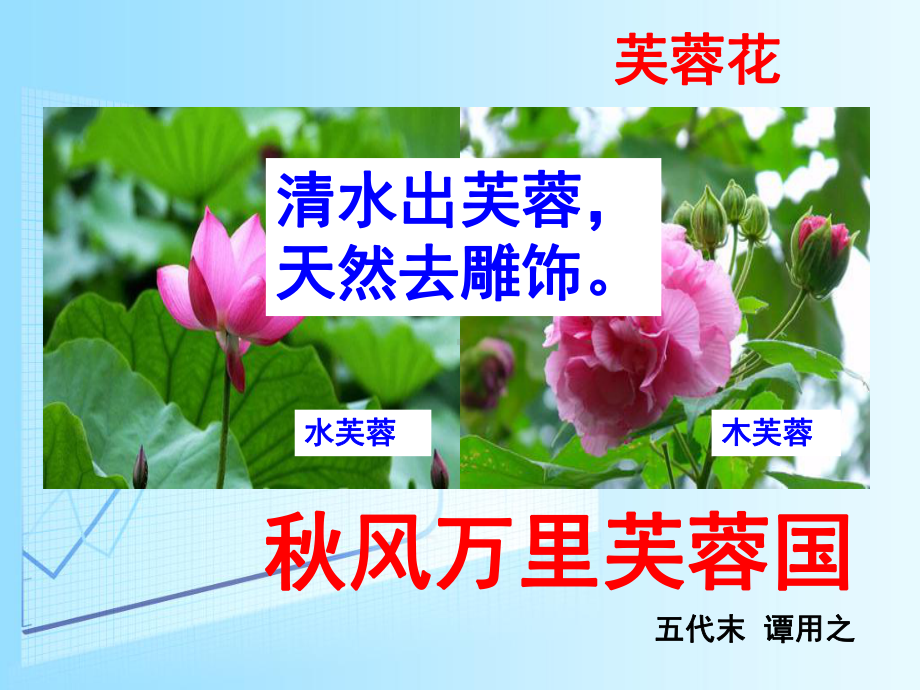 古诗词诵读《涉江采芙蓉》ppt课件32张 -统编版高中语文必修上册.ppt_第1页