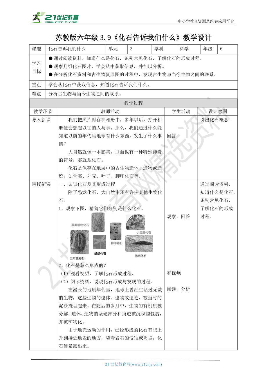 3.9《化石告诉我们什么》ppt课件（26张PPT）+教案+练习+素材-2022新苏教版六年级上册《科学》.zip