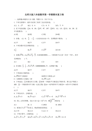 2022-2023学年北师大版八年级数学上册期末复习卷.docx