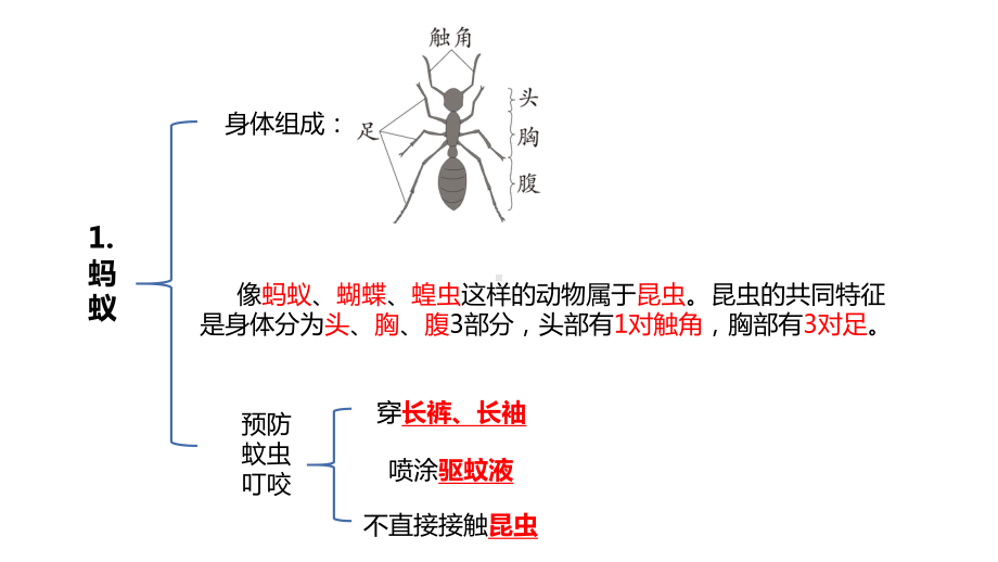 2022新青岛版四年级上册《科学》 四年级上册第一单元（动物王国） 复习ppt课件(共8张PPT).pptx（六三制）_第3页