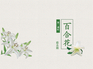 《百合花》ppt课件26张-统编版高中语文必修上册.pptx