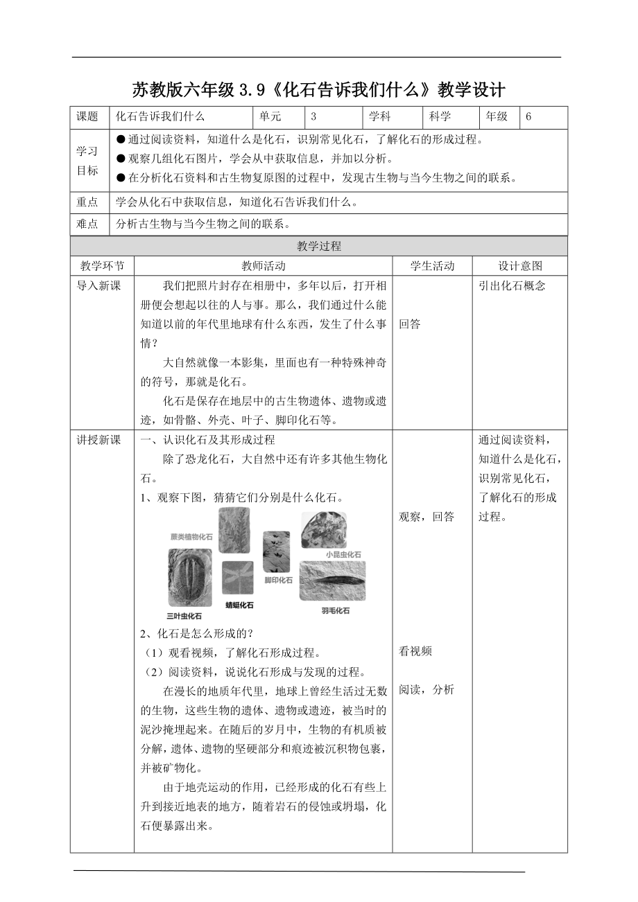 3.9《化石告诉我们什么》ppt课件（26张PPT）+教案+练习+素材-2022新苏教版六年级上册《科学》.rar