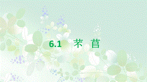 6.1《芣苢》ppt课件91张 -统编版高中语文必修上册.pptx