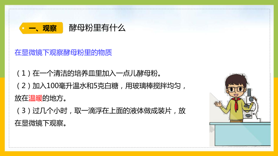 大象版2022-2023六年级科学上册《1.2 发面的秘密》课件.pptx_第3页