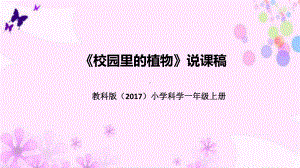 1.6校园里的植物 说课稿 ppt课件(共38张PPT)-2022新教科版一年级上册《科学》.pptx