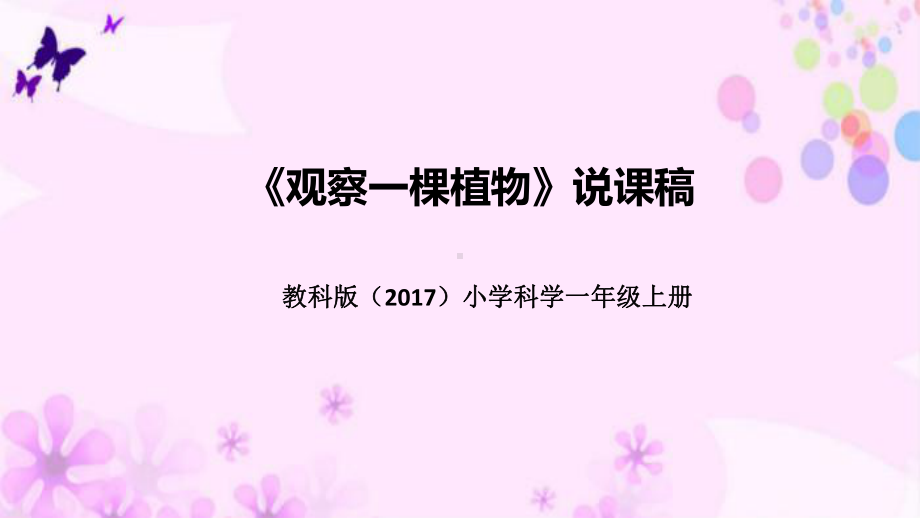 1.2观察一棵植物 说课稿（附反思、板书）ppt课件(共44张PPT)-2022新教科版一年级上册《科学》.pptx_第1页