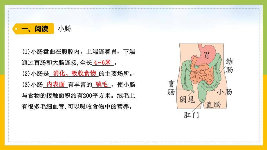 大象版2022-2023四年级科学上册《5-4蜿蜒的旅行》课件.pptx_第3页