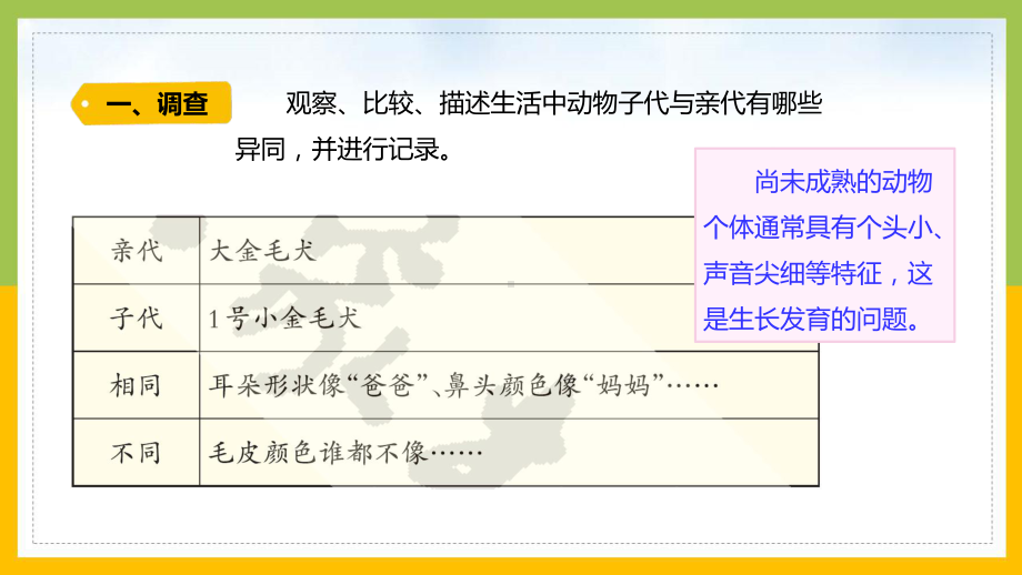 大象版2022-2023六年级科学上册《4.2动物的遗传和变异》课件.pptx_第3页