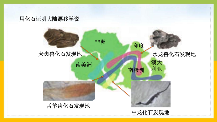 新苏教版2022-2023六年级科学上册第三单元第10课《用化石作证据》课件.pptx_第3页