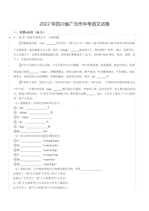 2022年四川省广元市中考语文试卷.docx